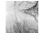 Présence Rupert Spira