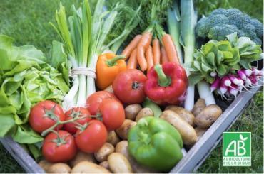 Une nouvelle étude scientifique prouve que manger bio permet d'être en meilleure santé