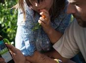 Carton plein pour Apple avec ventes d'iPhone