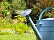 ‘Conseils Françoise’ L’arrosage votre jardin pendant vacances (audio)