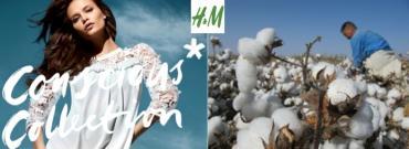 H&amp;M, premier utilisateur de coton bio au monde