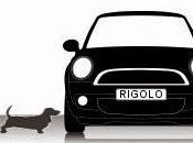 Mini Cooper contre basset