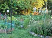 Vidéo promenade jardin août 2014