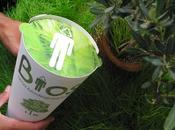 GREEN urnes funéraires poétiques