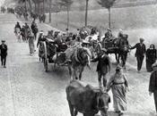 août 1914, habitants Ardennes continuent passer Reims