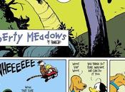 Frank Cho, Liberty Meadows Calvin Hobbes