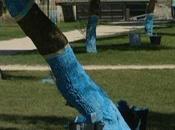 Rochelle arbres vieux port peints bleu mémoire Xynthia