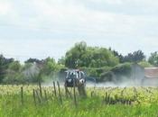 Pétition pour réduction l'exposition salariés l'Agriculture industries agroalimentaires pesticides.