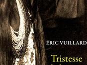 Tristesse terre d'Eric Vuillard