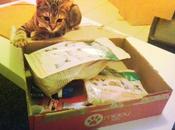 [Box Animaux] Miaoubox d’Août
