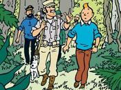 Aventures Tintin: Tintin Picaros
