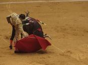 Logroño ureña oreilles, alamo blessure d'adame