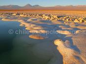 alentours Pedro Atacama