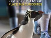 Ouvrez agendas Samedi dimanche septembre, s'ouvrira édition festival ARTS DANS CHÂTILLON