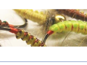 Piotr michna, nymphes