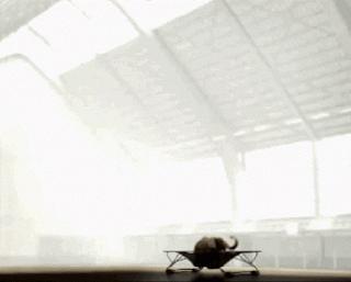 Échecs : Classement Elo Fide au 01-10-2014