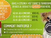 votes cotecnica nous gagnons 100kgs croquettes