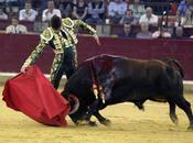 Zaragoza luque c'est serieux