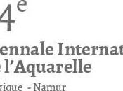 14ème Biennale l’Aquarelle Belgique Namur aura-t-elle lieu