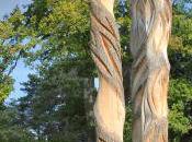 nouvelle pour arbres