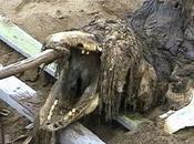 Retour cadavre d'une étrange créature découverte Russie