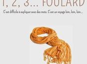 3... foulard Eric Sanvoisin