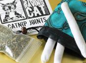 Cannabis chats aussi droit leurs joints