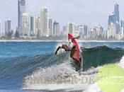 Harrison Williams, surfeur parmi requins (Vidéo)