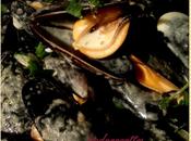Moules bouchots curry