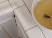 faire découverte étrange ouvrant canette