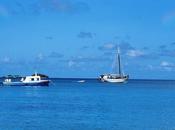 Croisière catamaran Grenadines