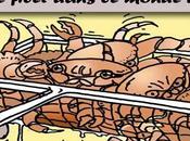 L'ombre corruption plane Ligue