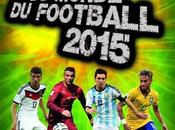 records monde football 2015