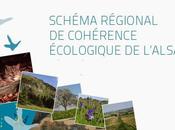 Région Alsace approuve Schéma Régional Cohérence Ecologique (SRCE)