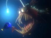 poisson monstrueux filmé pour première fois 500m profondeur