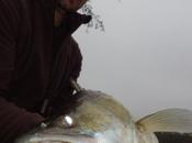Journée pêche novembre Domaine grand étang Narcy