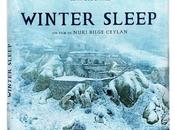 Critique Dvd: Winter Sleep