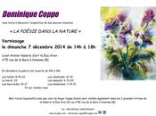 poésie dans nature Aquarelles Dominique Coppe Galerie vive Comines (Belgique)