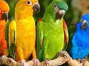 Citation jour, bonjour