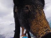 choses essayer avec votre caméra embarquée