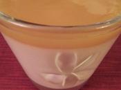 Coulis Mangue Rapide (Thermomix)