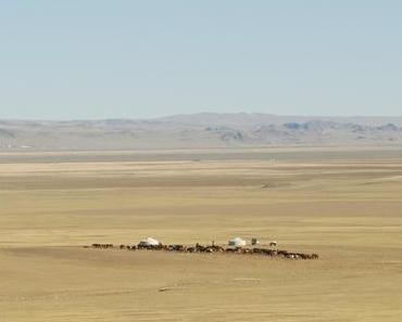 Immense dès l'Origine