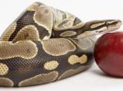 maladies touchent dirigeants politiques, delà partis