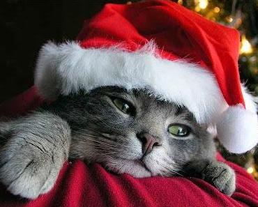 Joyeux Noël avec Magnus Carlsen !