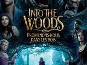 Into Woods, Promenons-nous dans bois