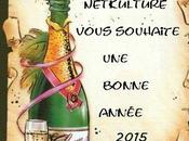 Bonne année 2015