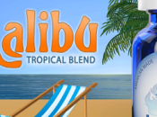 Test avis e-liquide Halo Malibu
