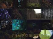 Bioluminescent Forest (vidéo)