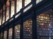Amoureuse Library Trinity College