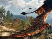 Witcher montre images vidéo